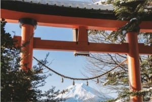 Fuji-bjergets 5 bedste steder Dagstur: Arakurayama Park, Oshino Hakkai