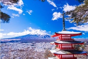 Fuji-bjergets 5 bedste steder Dagstur: Arakurayama Park, Oshino Hakkai