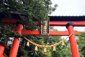 Fuji-bjergets 5 bedste steder Dagstur: Arakurayama Park, Oshino Hakkai