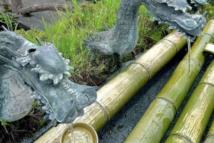 Fuji-bjergets 5 bedste steder Dagstur: Arakurayama Park, Oshino Hakkai