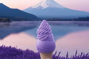 Fuji-bjergets 5 bedste steder Dagstur: Arakurayama Park, Oshino Hakkai