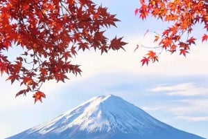 Fuji-bjergets 5 bedste steder Dagstur: Arakurayama Park, Oshino Hakkai