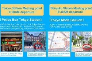 Fuji-bjergets 5 bedste steder Dagstur: Arakurayama Park, Oshino Hakkai