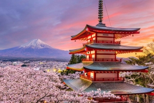Tour dei luoghi più belli del Monte Fuji: la pagoda Chureito, la vista sul lago e altro ancora