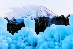 Tour dei luoghi più belli del Monte Fuji: la pagoda Chureito, la vista sul lago e altro ancora