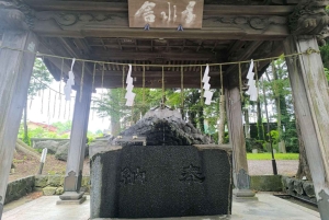 Tour dei luoghi più belli del Monte Fuji: la pagoda Chureito, la vista sul lago e altro ancora