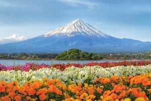 Excursão ao Monte Fuji: Lago Kawaguchi, Santuário, Aldeia Curativa e Pagode