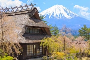 Excursão ao Monte Fuji: Lago Kawaguchi, Santuário, Aldeia Curativa e Pagode