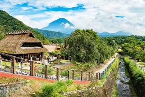Excursão ao Monte Fuji: Lago Kawaguchi, Santuário, Aldeia Curativa e Pagode