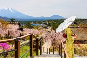 Excursão ao Monte Fuji: Lago Kawaguchi, Santuário, Aldeia Curativa e Pagode