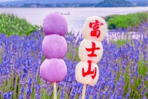 Excursão ao Monte Fuji: Lago Kawaguchi, Santuário, Aldeia Curativa e Pagode