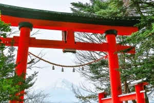 Excursão ao Monte Fuji: Lago Kawaguchi, Santuário, Aldeia Curativa e Pagode