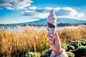 Excursão ao Monte Fuji: Lago Kawaguchi, Santuário, Aldeia Curativa e Pagode