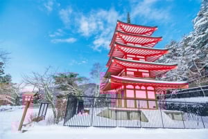 Excursão ao Monte Fuji: Lago Kawaguchi, Santuário, Aldeia Curativa e Pagode