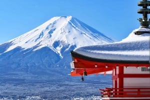 Excursão ao Monte Fuji: Lago Kawaguchi, Santuário, Aldeia Curativa e Pagode