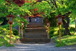 Excursão ao Monte Fuji: Lago Kawaguchi, Santuário, Aldeia Curativa e Pagode