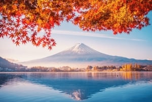 Excursão ao Monte Fuji: Lago Kawaguchi, Santuário, Aldeia Curativa e Pagode