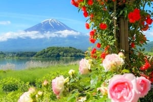 Excursão ao Monte Fuji: Lago Kawaguchi, Santuário, Aldeia Curativa e Pagode