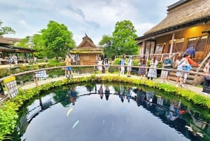 Excursão ao Monte Fuji: Lago Kawaguchi, Santuário, Aldeia Curativa e Pagode