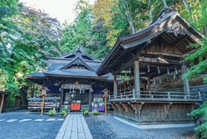 Excursão ao Monte Fuji: Lago Kawaguchi, Santuário, Aldeia Curativa e Pagode