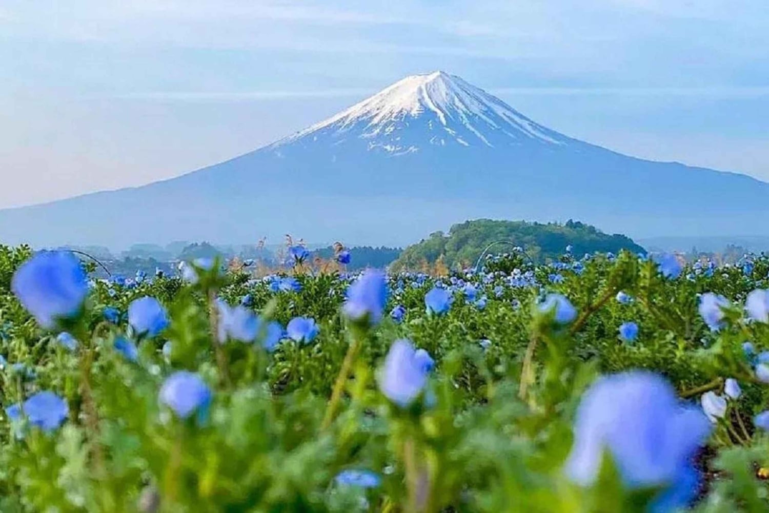 Excursión al monte Fuji: teleférico del lago Kawaguchiko, matcha, Oshino Hakkai
