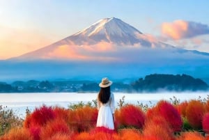 Excursión al monte Fuji: teleférico del lago Kawaguchiko, matcha, Oshino Hakkai