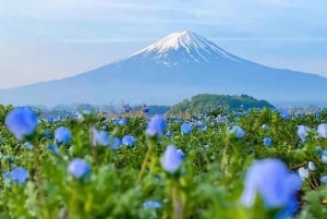 Excursión al monte Fuji: teleférico del lago Kawaguchiko, matcha, Oshino Hakkai