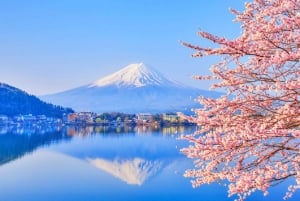 Excursión al monte Fuji: teleférico del lago Kawaguchiko, matcha, Oshino Hakkai