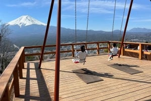 Excursión al monte Fuji: teleférico del lago Kawaguchiko, matcha, Oshino Hakkai