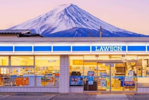 Excursión al monte Fuji: teleférico del lago Kawaguchiko, matcha, Oshino Hakkai