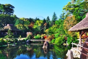 Excursión al monte Fuji: teleférico del lago Kawaguchiko, matcha, Oshino Hakkai