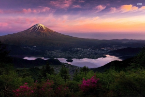 Mount Fuji: Privat dagsutflykt (anpassningsbar) Engelsktalande chaufför