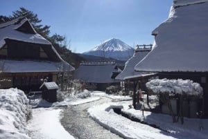 Mt. Fuji Viewing & Suntory Whisky Hakushu Distillery Tour