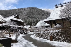 Mt. Fuji Viewing & Suntory Whisky Hakushu Distillery Tour