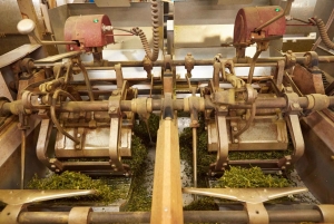 Wintertheeplukken en traditionele matcha maken op de berg Fuji