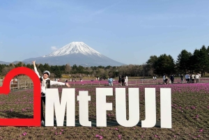 富士山でピンクモスと白州蒸留所ウィスキーミュージアムをご覧ください