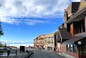 富士山でピンクモスと白州蒸留所ウィスキーミュージアムをご覧ください