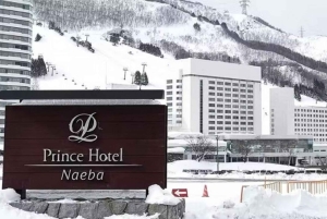 Naeba Express Bus - from/to Narita Airport and Tokyo Station