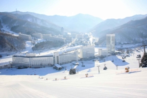 Naeba Express Bus - from/to Narita Airport and Tokyo Station