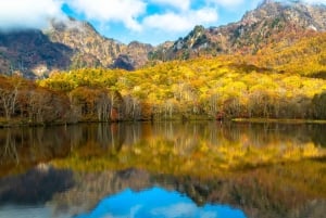 Nagano: privat tur med Snow Monkey Park og Zenko-ji-tempelet