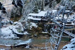Nagano: privat tur med Snow Monkey Park og Zenko-ji-tempelet