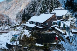 Nagano: privat tur med Snow Monkey Park og Zenko-ji-tempelet