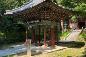 Nagano Snow Monkey private Day Tour from Tokyo