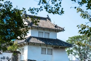 Nagano Snow Monkey private Day Tour from Tokyo