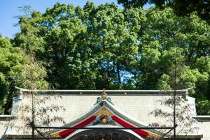 Nagano Snow Monkey private Day Tour from Tokyo