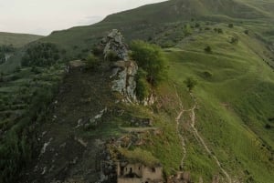 Nagano Snow Monkey private Day Tour from Tokyo