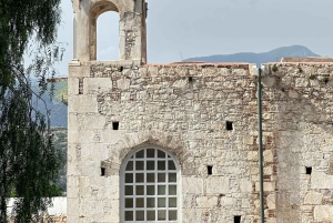 Nagano Snow Monkey private Day Tour from Tokyo