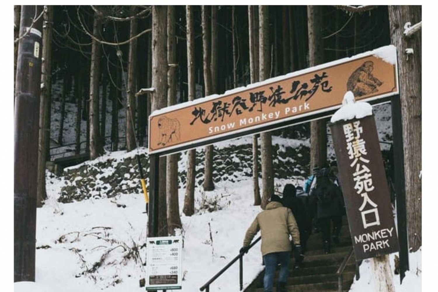 Nagano/Tokyo: Snow Monkey Private Day Tour At Lowest Rate