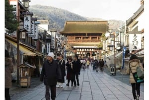 Nagano/Tokyo: Snow Monkey Private Day Tour At Lowest Rate