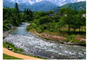 Nagano/Tokyo: Snow Monkey Private Day Tour At Lowest Rate